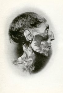 Chef för Rameses II:s mumie, fornegyptisk farao från den 19:e dynastin, c1212 f.Kr. 1926.