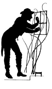 Illustration till The Courtin