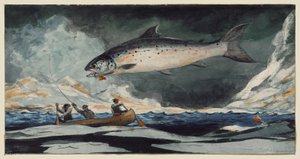 En fin pool, Saguenayfloden av Winslow Homer