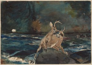 Ett bra skott, Adirondacks av Winslow Homer