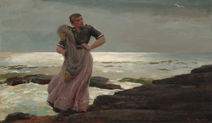 Ett ljus på havet av Winslow Homer