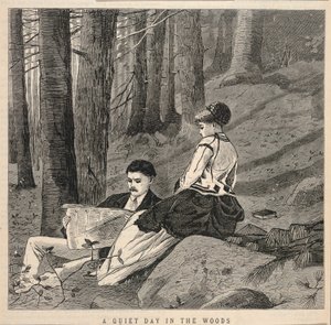 En stilla dag i skogen, från Appletons