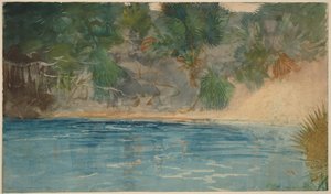 Blå källan, Florida av Winslow Homer