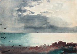 Kraftig storm, Maines kust av Winslow Homer