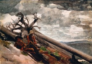 Burnt Mountain av Winslow Homer