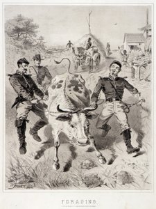 Skisser från kampanjen: Födosök av Winslow Homer