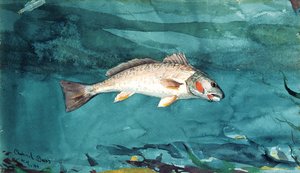 Kanalbas av Winslow Homer