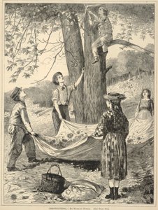 Chestnutting, från Every Saturday: En illustrerad tidskrift med valfri läsning, 29 oktober 1870 av Winslow Homer