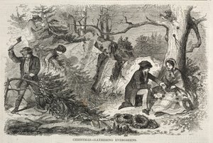 Jul – Samla vintergröna växter av Winslow Homer