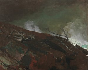 Coast of Maine, 1893. av Winslow Homer