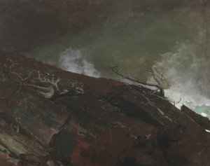 Coast of Maine, 1893 av Winslow Homer