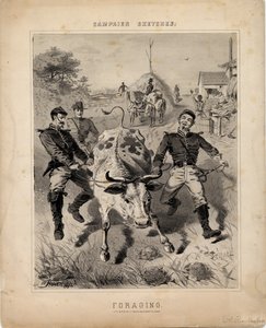 Fodersökning, illustration från 
