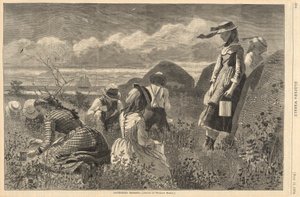 Gathering Berries, från Harper av Winslow Homer