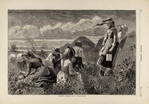 Gathering Berries, från Harper