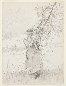 Flicka som håller en gren av ett äppelträd av Winslow Homer