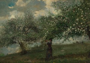 Flicka som plockar äppleblommor av Winslow Homer