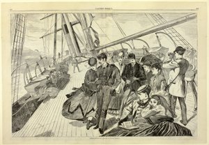 Homeward Bound, från Harper