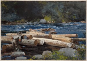 Hudsonfloden av Winslow Homer