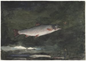Den hoppande öringen av Winslow Homer