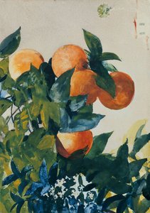 Apelsiner på en gren, 1885