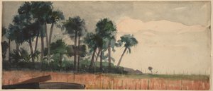 Röda palmer av Winslow Homer