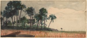 Palmer, röda, 1890. av Winslow Homer