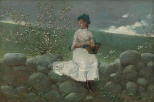Persikablommor av Winslow Homer