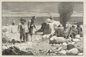 Skisser från havet - En musselbakning av Winslow Homer