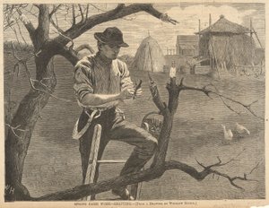Vårens gårdsarbete av Winslow Homer