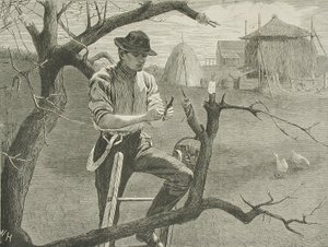 Vårarbete på gården - ympning av Winslow Homer