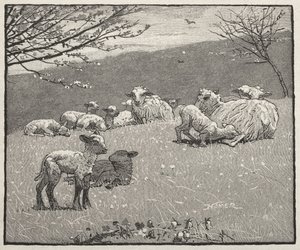 Vårlamm av Winslow Homer