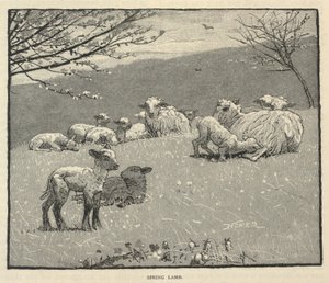 Spring Lamb, från Scribner