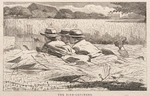 Fågelfångarna av Winslow Homer