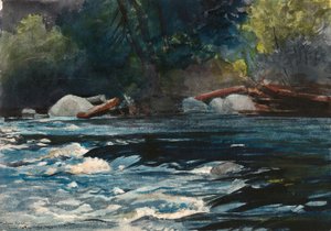 The Rapids, Hudson River, Adirondacks av Winslow Homer