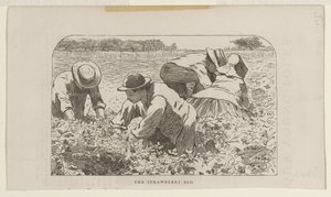 Jordgubbslandet av Winslow Homer