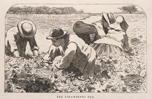 Jordgubbsbädden, 1868. av Winslow Homer
