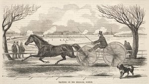 Trav på Mill Dam, Boston av Winslow Homer