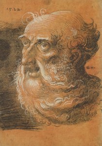 Head Study, 1522 (kol och vit krita på papper)