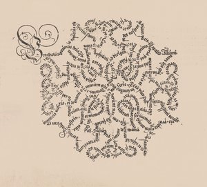 En användbar och välgrundad form Manncherley Schoner skrev En användbar och välgrundad..., 1553. av Wolfgang Fugger