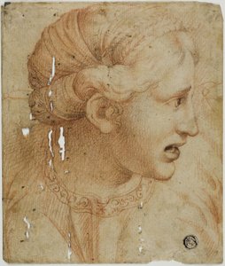 Kvinnohuvud i profil, vänd åt höger av Workshop of Raphael