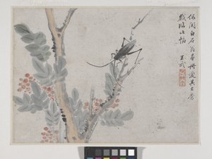 Insekt och träd efter Shen Zhou (bläck och färg på papper) av Wu Wang