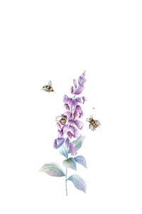 Akvarellmålningar av bin och blommor av Xuan Thai
