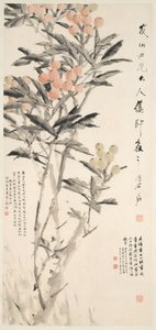 Pipa Loquats, ca. 1888-89.