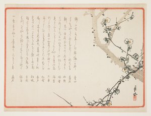 (plommonblommor)