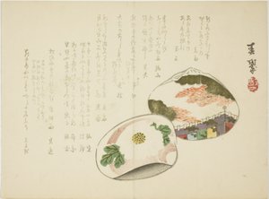 Musselskal
