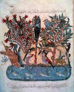 Den mystiska ön befolkad med konstiga djur Miniatyr tagen från "Maqamat" (Seanser) av Abu Mohammed al-Kasim ibn Ali Hariri (eller Al-Hariri eller Al Hariri) (1054-1122) upplyst av Yahya Mahmud al-Wasiti (al Wasiti) ).) år 1237, Paris, B.N. av Yahya ibn Mahmud Al Wasiti