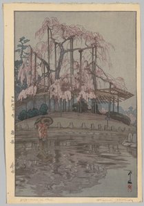 Åtta scener av körsbärsblommor: Vårregn (Sakura gillar inte: Harusame) av Yoshida Hiroshi