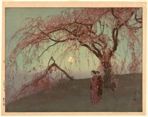 Kumoi körsbärsträd (Kumoi sakura)