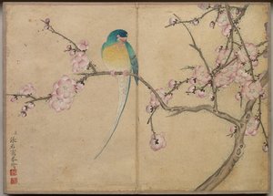 Skrivbordsalbum: Flower and Bird Paintings Bird with Plum Blossoms, 1700-talet.