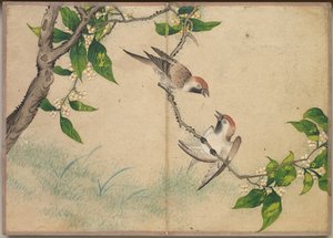 Skrivbordsalbum: Flower and Bird Paintings Gossiping Sparrows, 1700-talet.